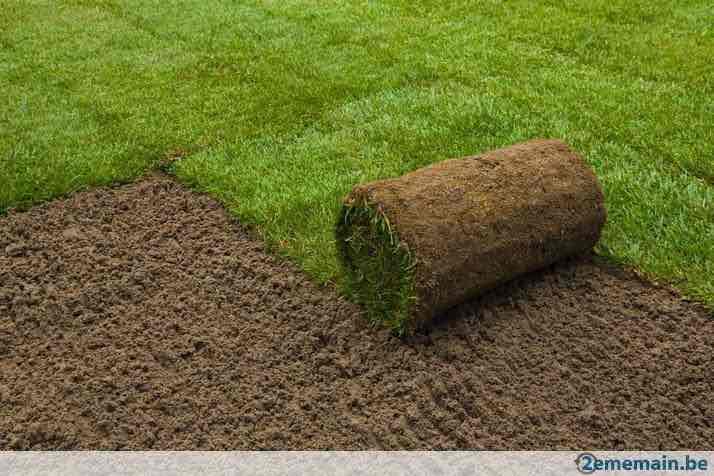  TLV Tuinonderhoud Kemzeke 