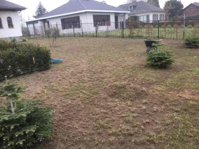  TLV Tuinonderhoud Kemzeke 