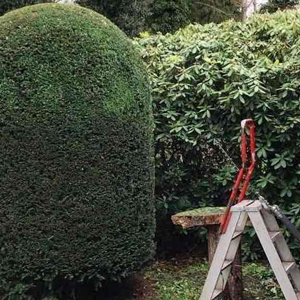 Diverse tuinwerken